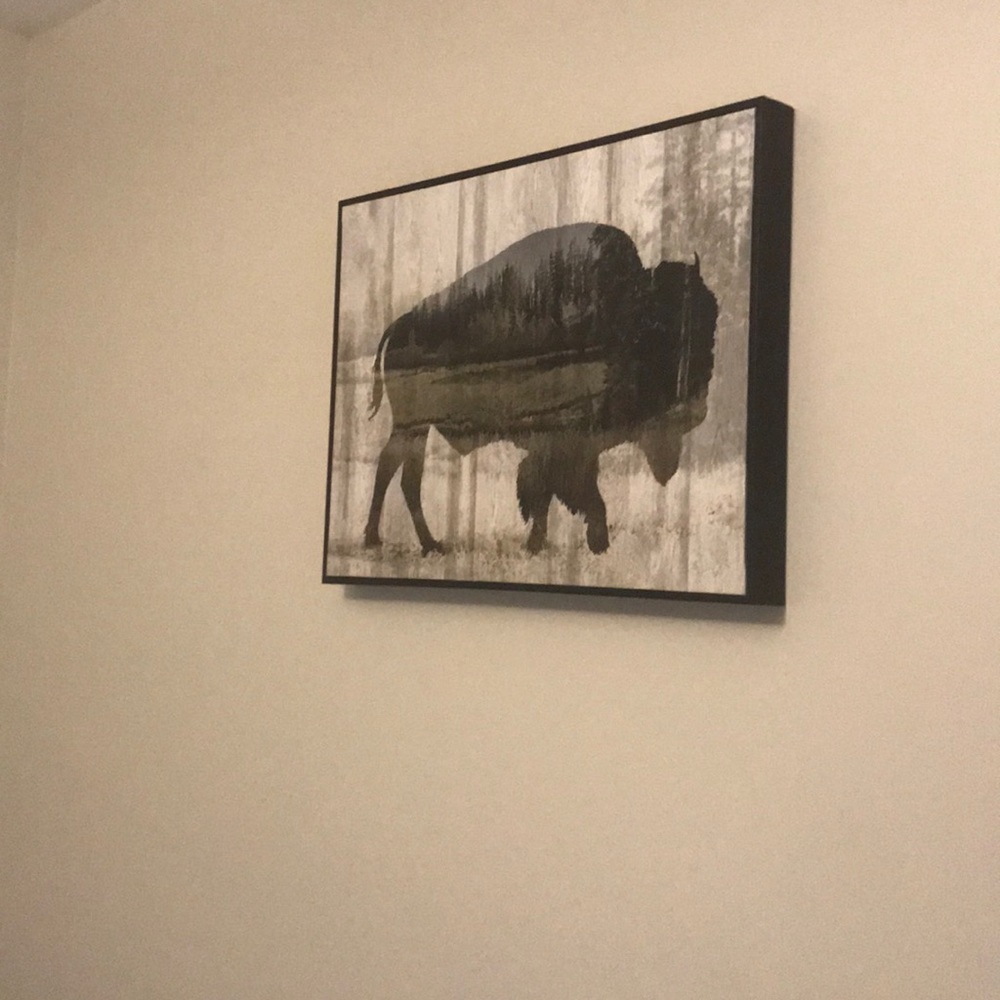 Buffalo wall art